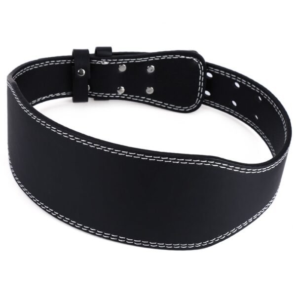 Gym Belts
