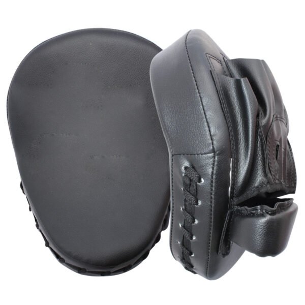 Punch Mitts Focus Pads