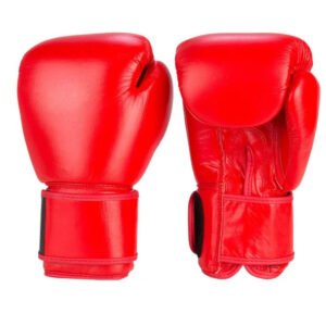 Boxing gloves